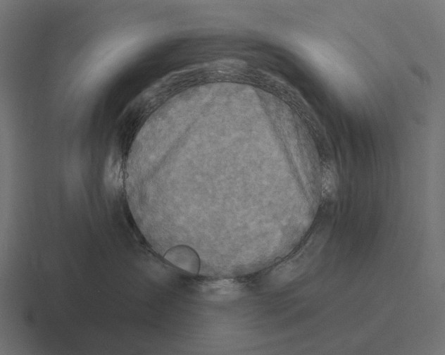 X0000116280431200912291356