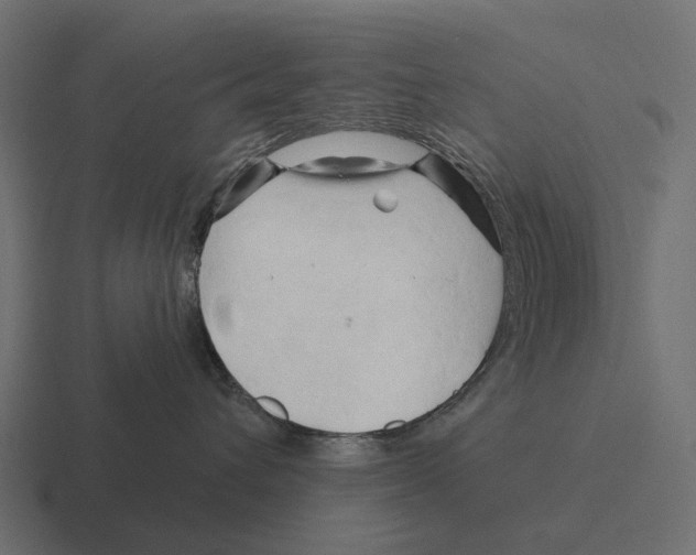 X0000116280432200912291356