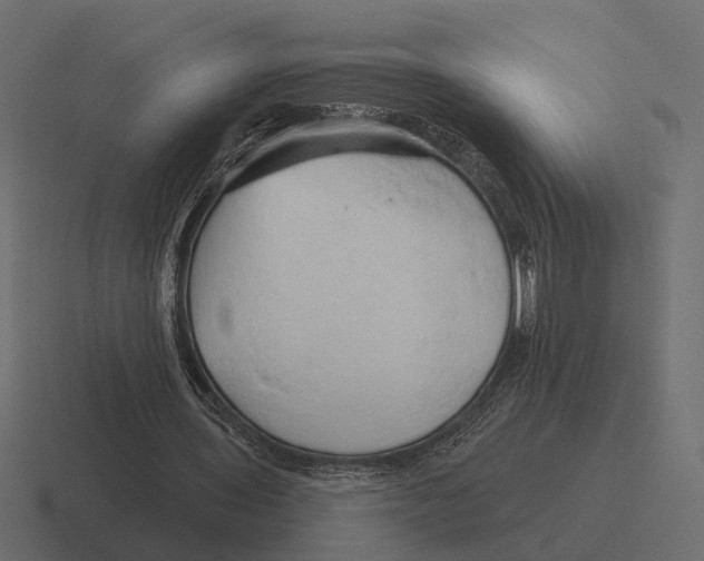 X0000116280435200912291356