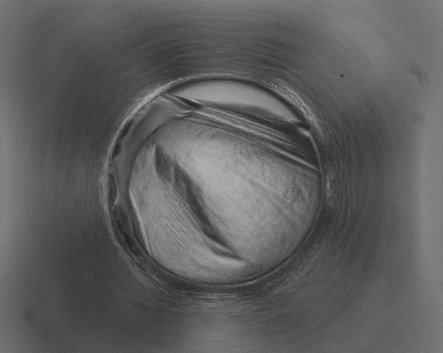 X0000116280436200912291356