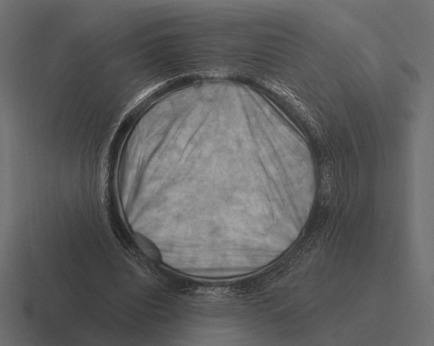 X0000116280440200912291356