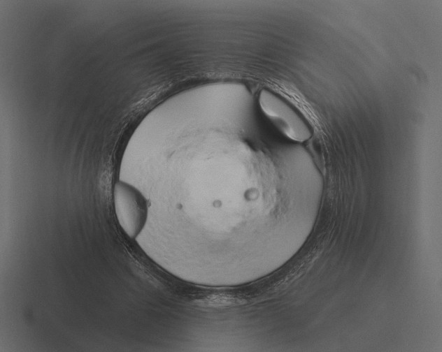 X0000116280441200912291356