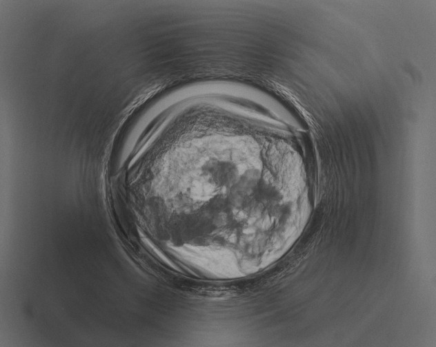 X0000116280443200912291356