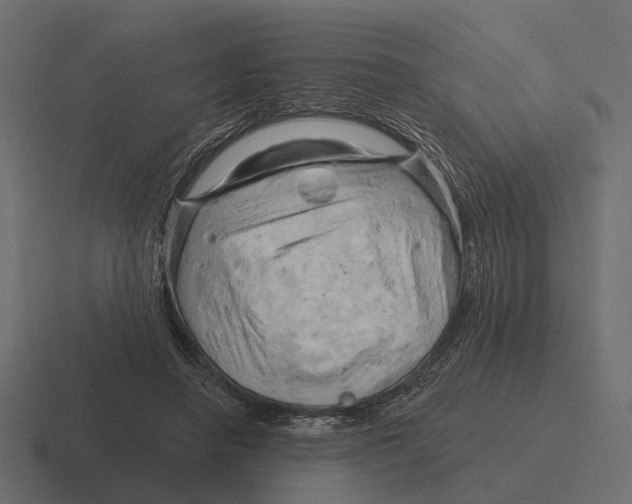 X0000116280450200912291356