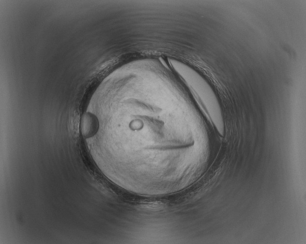 X0000116280454200912291356