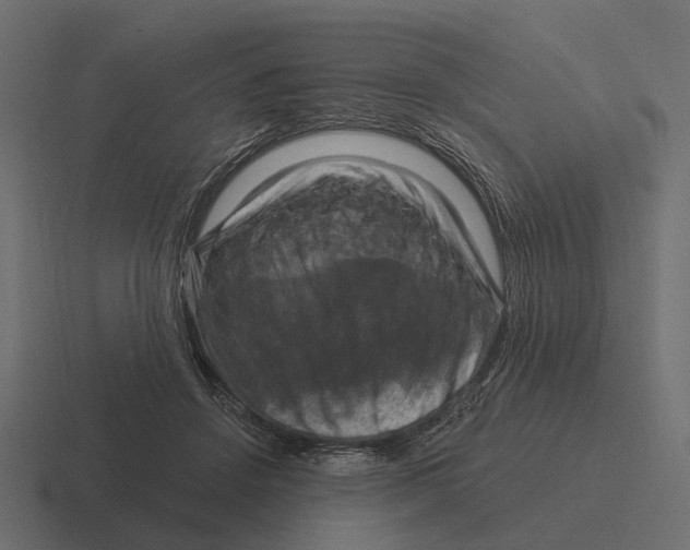 X0000116280456200912291356