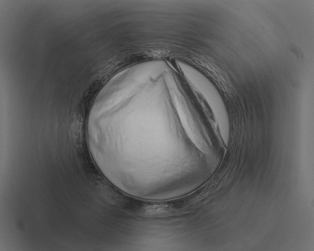X0000116280461200912291356