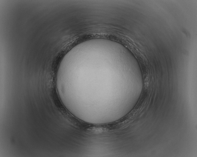 X0000116280464200912291356