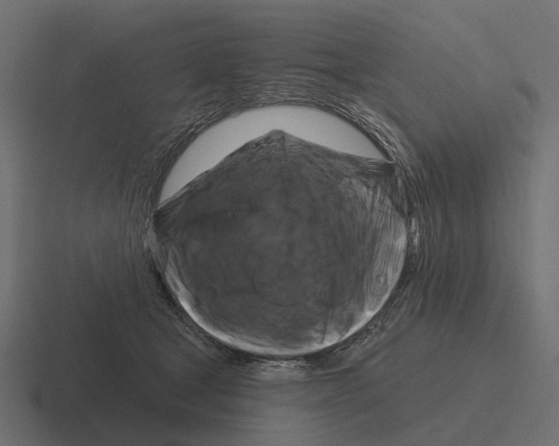 X0000116280465200912291356