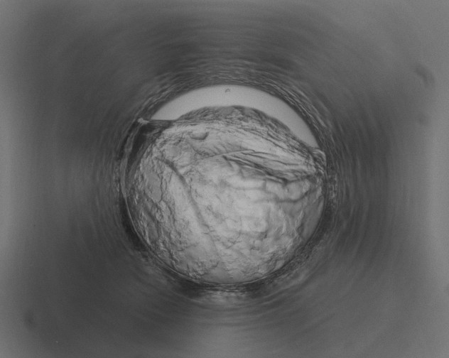 X0000116280466200912291356