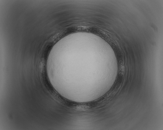 X0000116280468200912291356