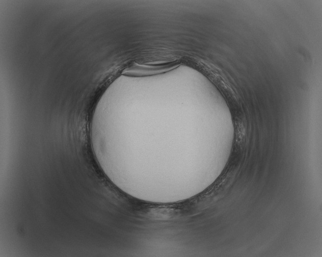 X0000116280470200912291356