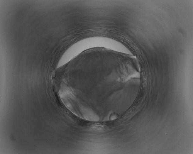 X0000116280471200912291356
