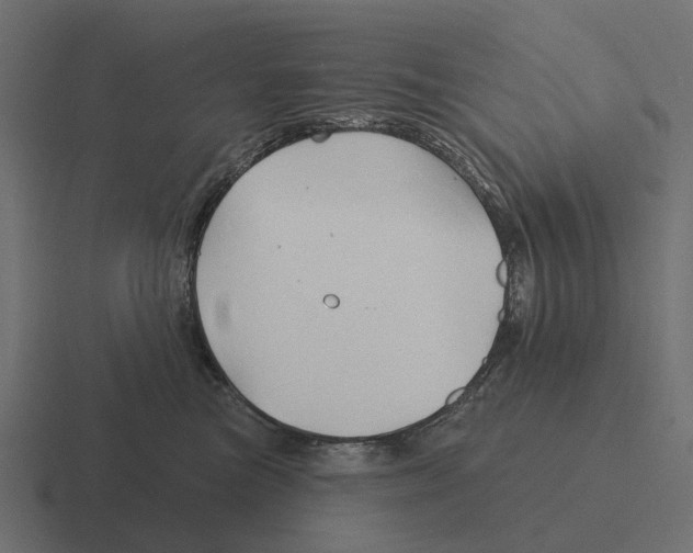 X0000116280473200912291356