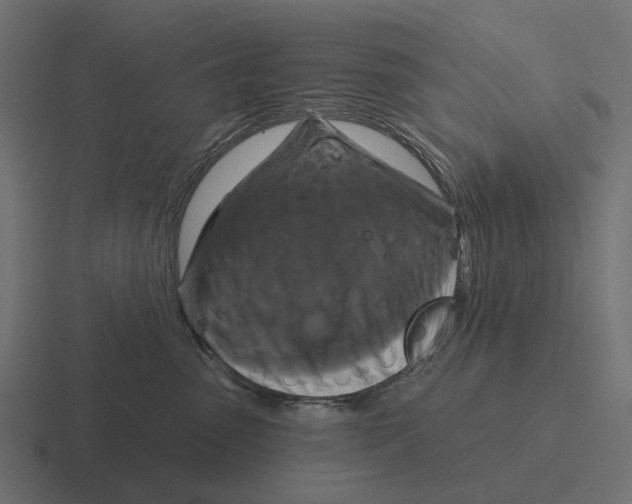 X0000116280475200912291356