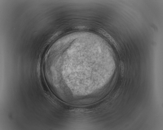 X0000116280482200912291356