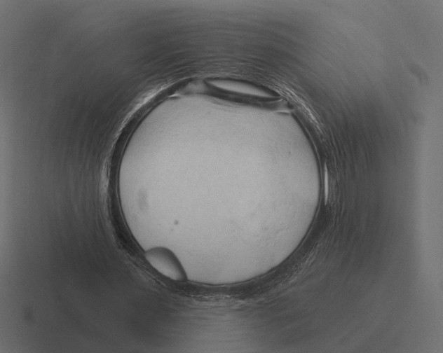 X0000116280483200912291356