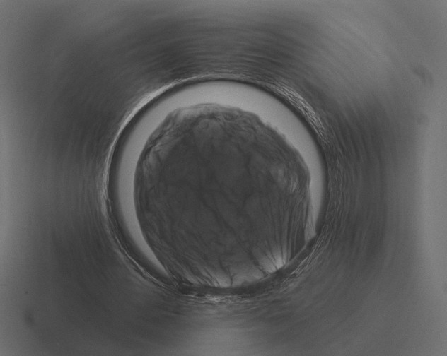 X0000116280484200912291356