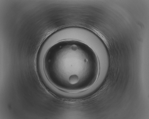 X0000116280485200912291356