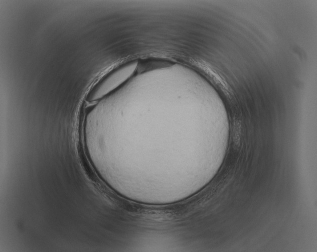 X0000116280486200912291356