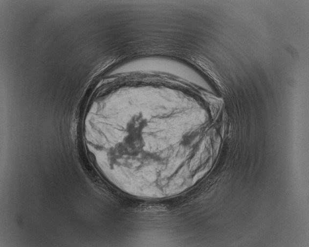 X0000116280491200912291356