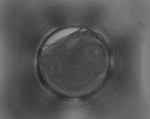 X0000116280492200912291356