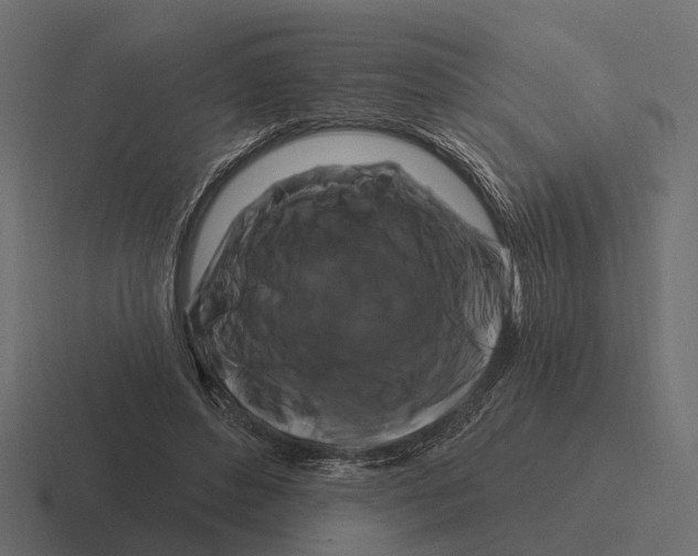 X0000116280496200912291356