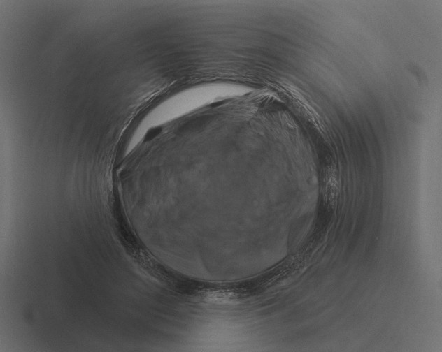 X0000116280500200912291355
