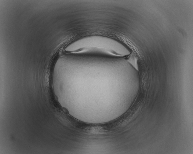 X0000116280501200912291355