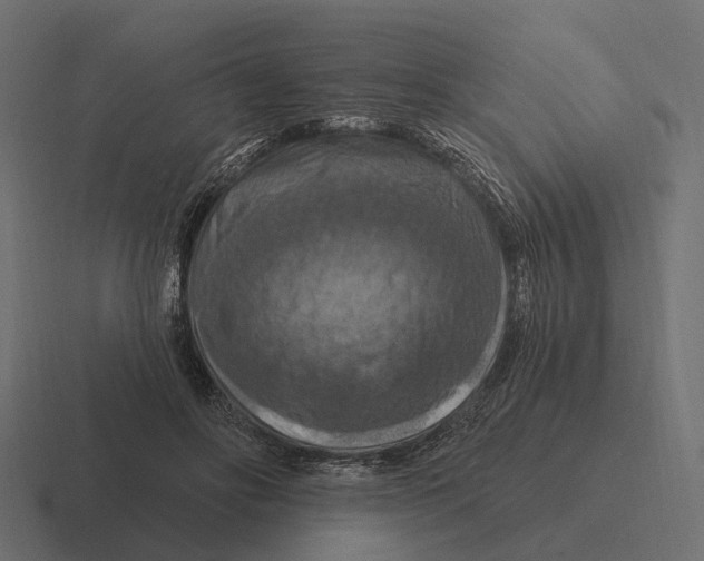 X0000116280502200912291355