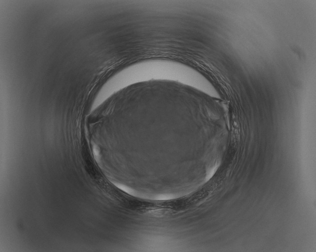 X0000116280504200912291355