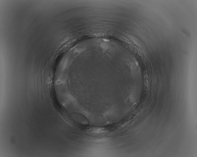 X0000116280507200912291355