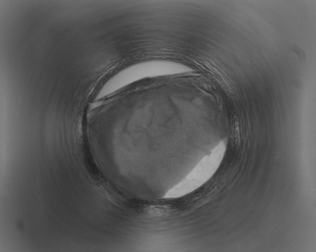 X0000116280508200912291355