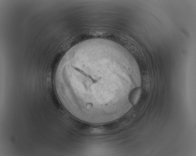 X0000116280510200912291355