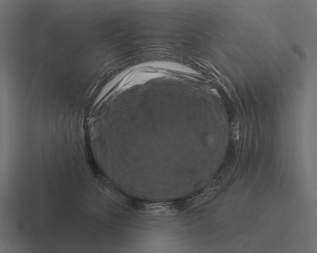 X0000116280516200912291355