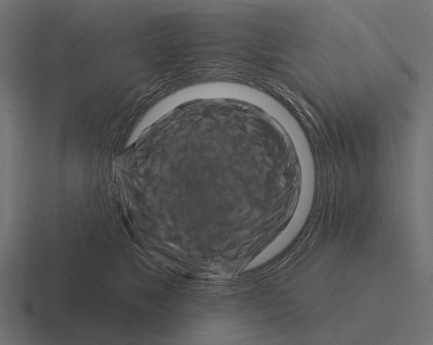 X0000116280517200912291355