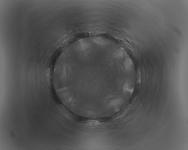 X0000116280519200912291355