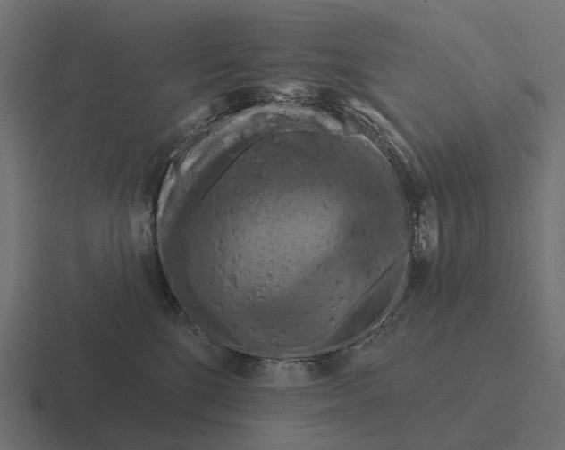X0000116280520200912291355