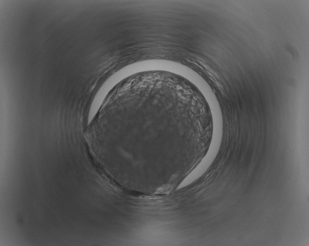 X0000116280524200912291355