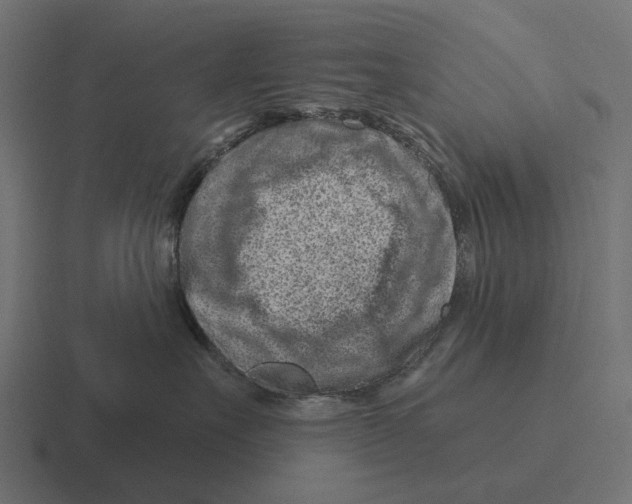 X0000116280527200912291355