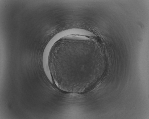 X0000116280528200912291355