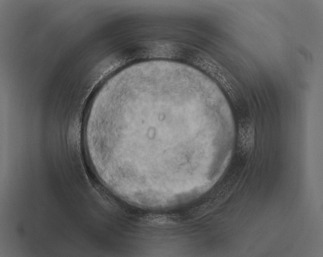 X0000116280534200912291355
