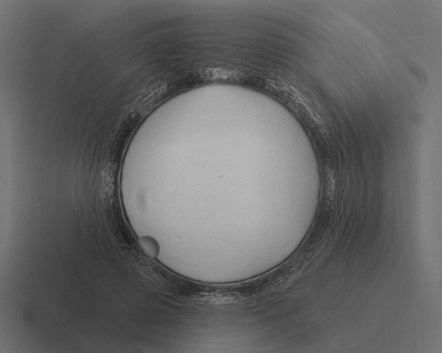 X0000116280545200912291355