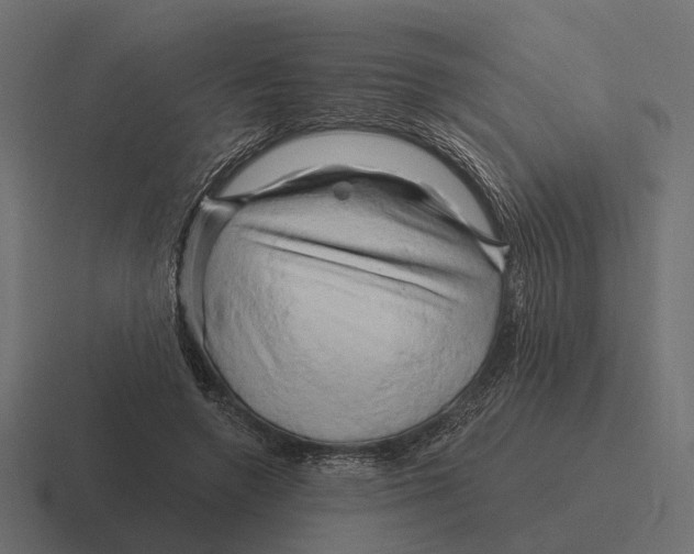 X0000116280546200912291355