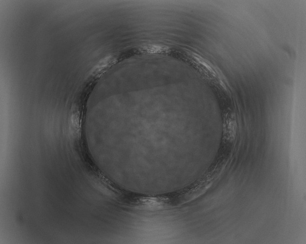 X0000116280558200912291355