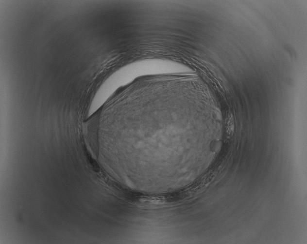 X0000116280559200912291355