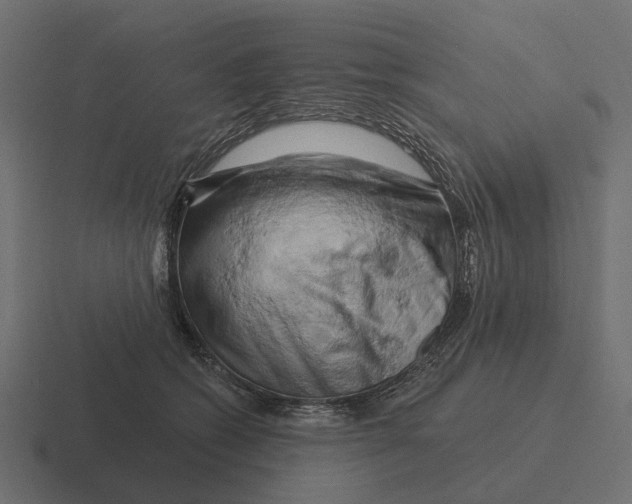 X0000116280562200912291355