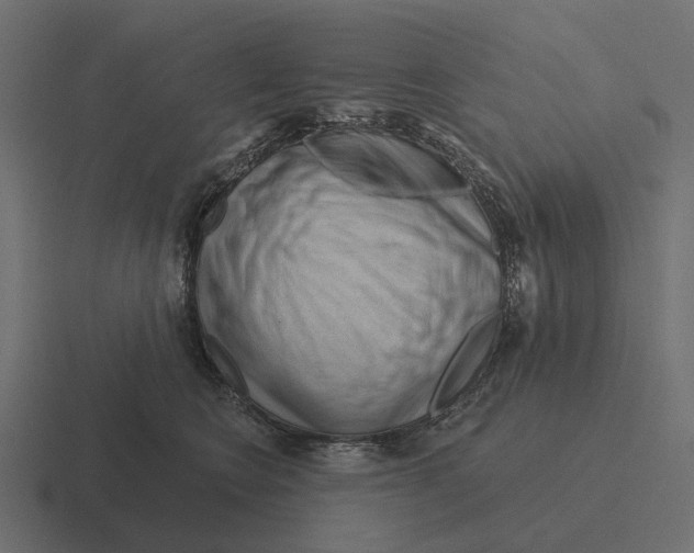 X0000116280566200912291355