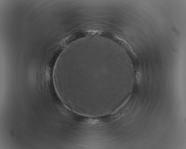 X0000116280570200912291355