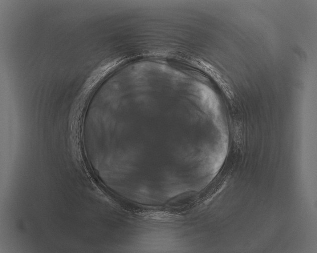 X0000116280577200912291354